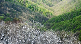 DODICI - FOTOGALLERY